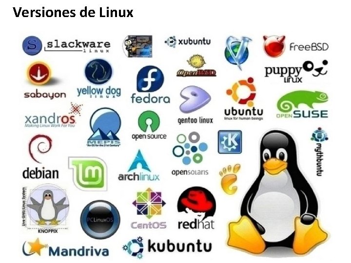 Versiones de Linux 