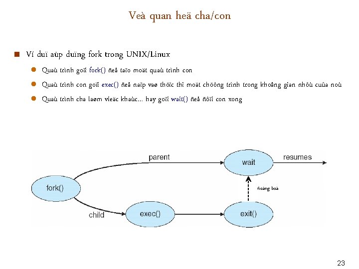 Veà quan heä cha/con < Ví duï aùp duïng fork trong UNIX/Linux ● Quaù