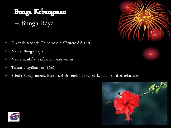 Bunga Kebangsaan – Bunga Raya • • • Dikenali sebagai: China rose / Chinese