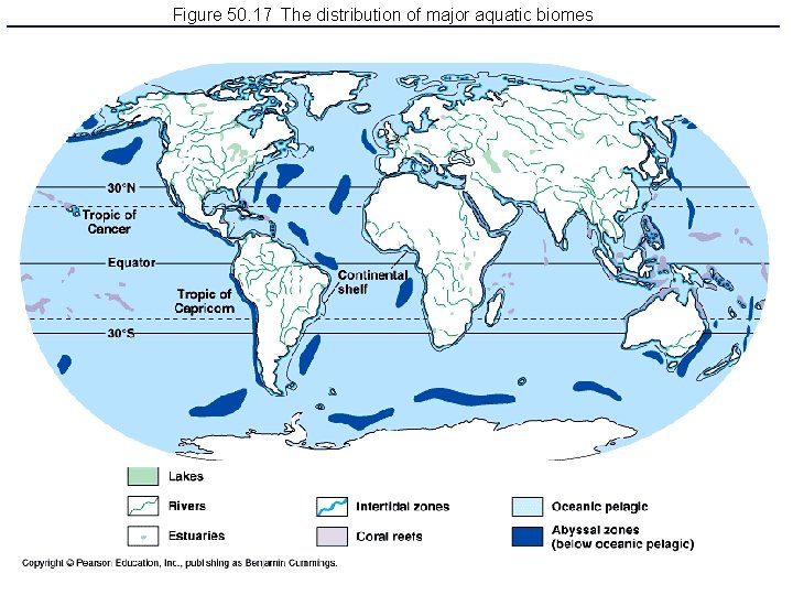 Figure 50. 17 The distribution of major aquatic biomes 