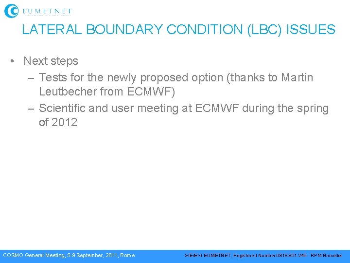 LATERAL BOUNDARY CONDITION (LBC) ISSUES • Next steps – Tests for the newly proposed