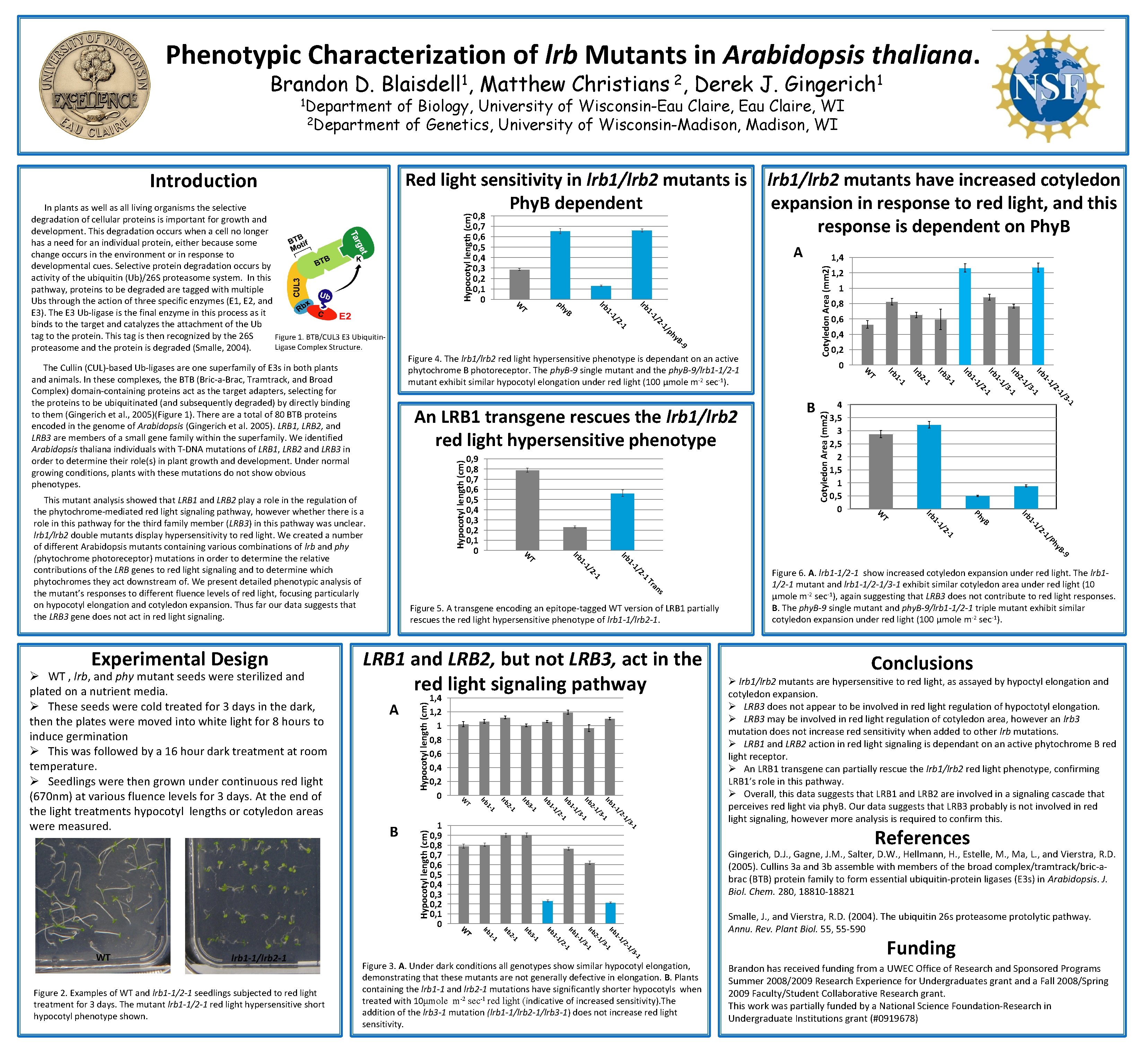 Phenotypic Characterization of lrb Mutants in Arabidopsis thaliana. Brandon D. 1 Blaisdell , Derek