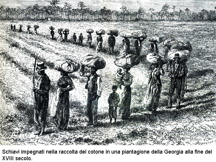 Schiavi impegnati nella raccolta del cotone in una piantagione della Georgia alla fine del