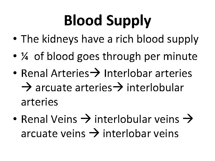 Blood Supply • The kidneys have a rich blood supply • ¼ of blood