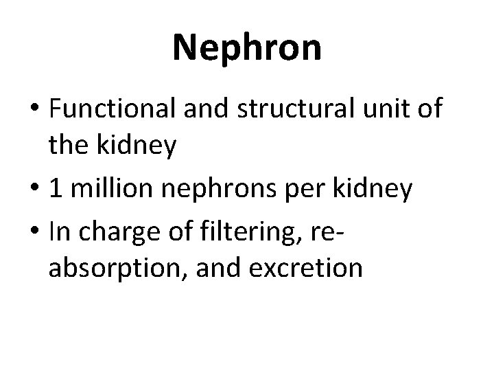 Nephron • Functional and structural unit of the kidney • 1 million nephrons per