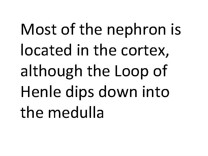 Most of the nephron is located in the cortex, although the Loop of Henle