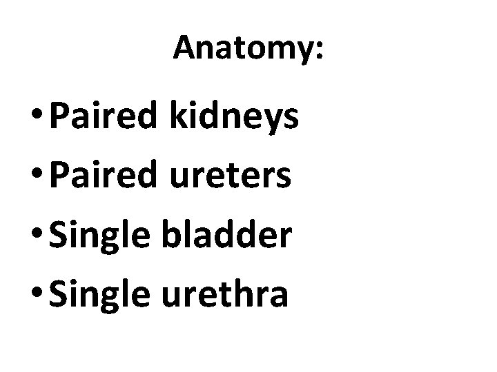 Anatomy: • Paired kidneys • Paired ureters • Single bladder • Single urethra 