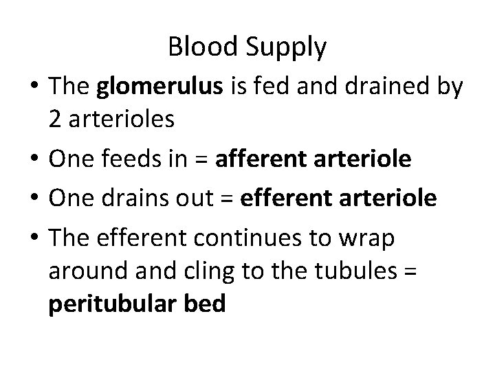 Blood Supply • The glomerulus is fed and drained by 2 arterioles • One