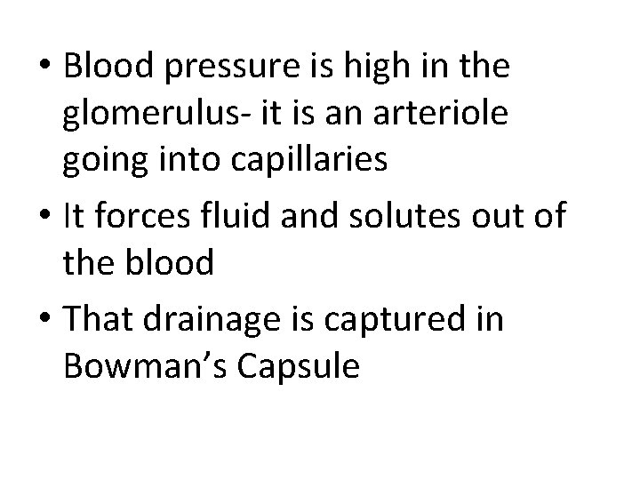  • Blood pressure is high in the glomerulus- it is an arteriole going