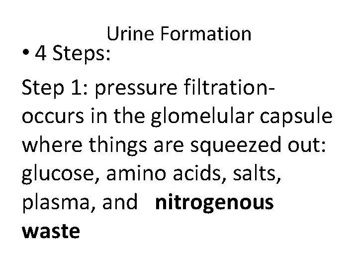 Urine Formation • 4 Steps: Step 1: pressure filtrationoccurs in the glomelular capsule where