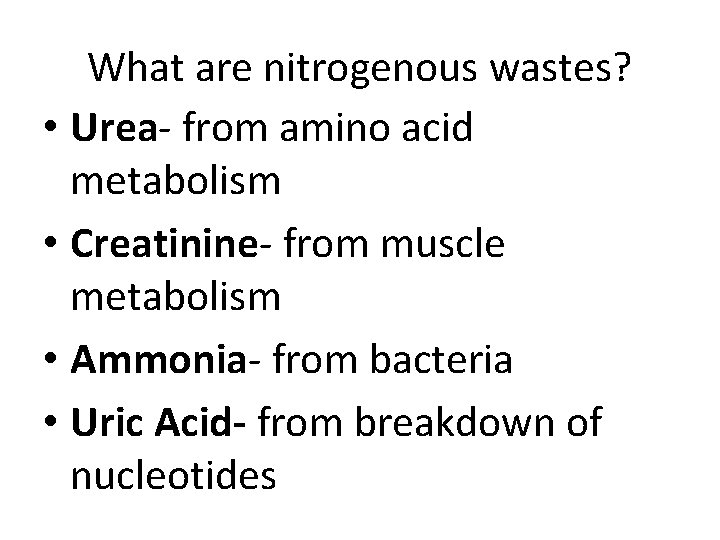 What are nitrogenous wastes? • Urea- from amino acid metabolism • Creatinine- from muscle