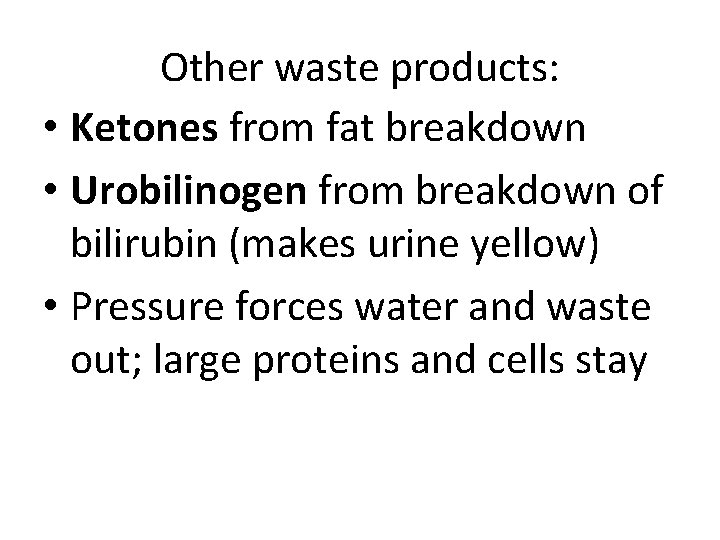 Other waste products: • Ketones from fat breakdown • Urobilinogen from breakdown of bilirubin