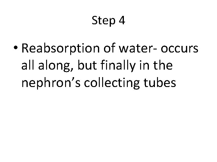 Step 4 • Reabsorption of water- occurs all along, but finally in the nephron’s