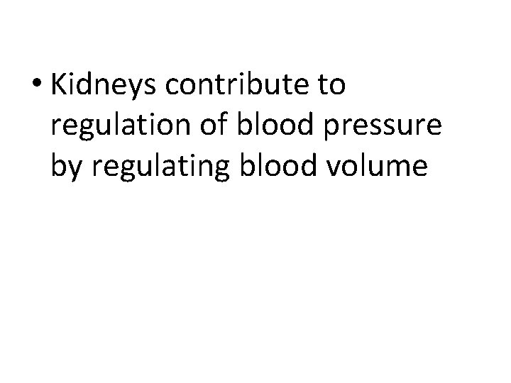  • Kidneys contribute to regulation of blood pressure by regulating blood volume 