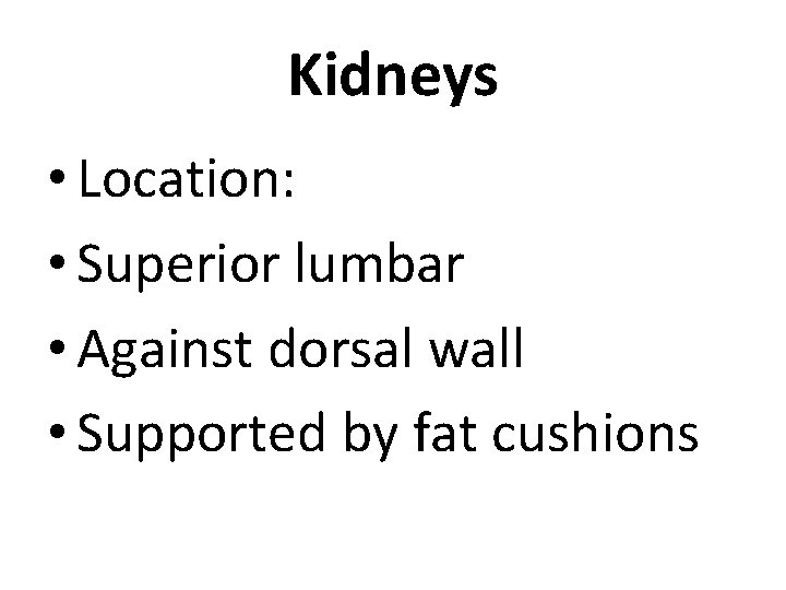 Kidneys • Location: • Superior lumbar • Against dorsal wall • Supported by fat