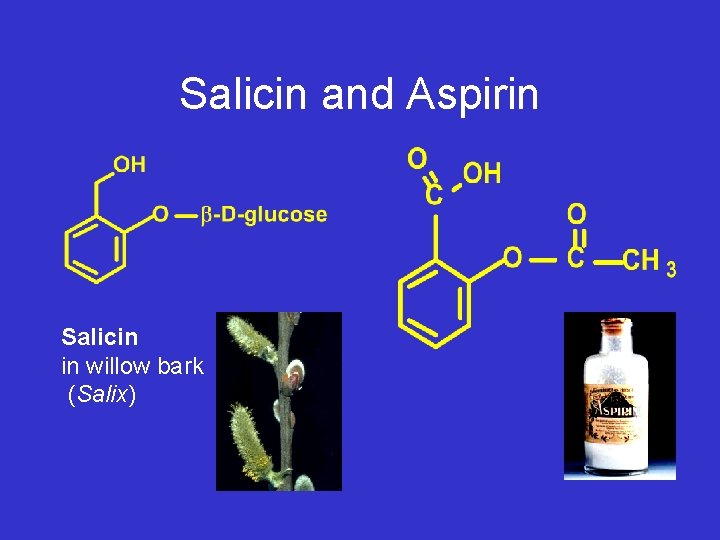 Salicin and Aspirin Salicin in willow bark (Salix) 