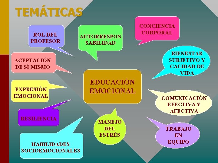 TEMÁTICAS ROL DEL PROFESOR AUTORRESPON SABILIDAD BIENESTAR SUBJETIVO Y CALIDAD DE VIDA ACEPTACIÓN DE