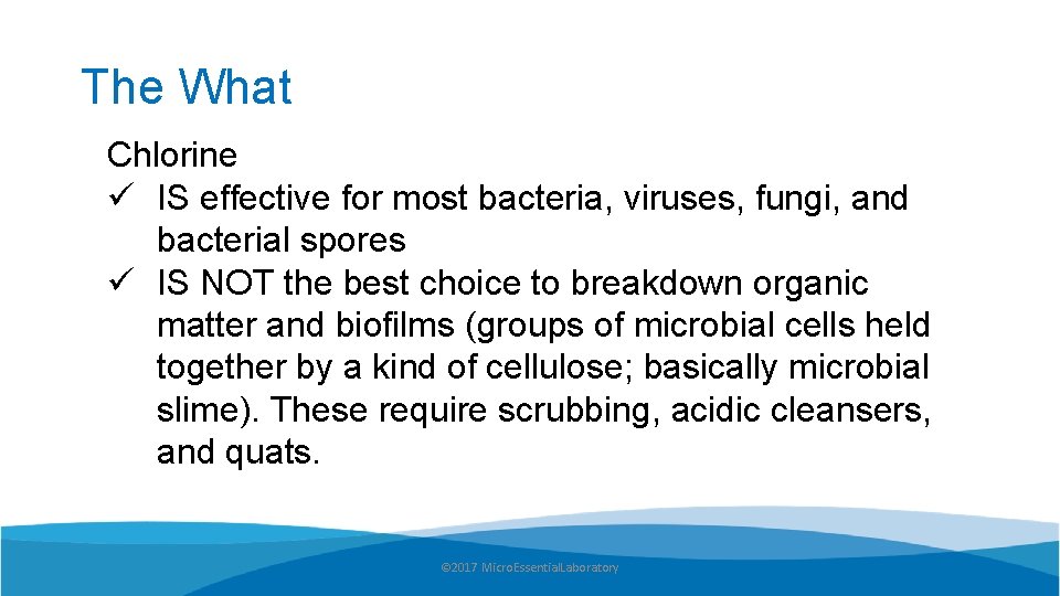 The What Chlorine ü IS effective for most bacteria, viruses, fungi, and bacterial spores