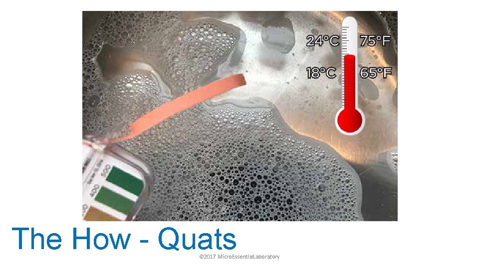 The How - Quats © 2017 Micro. Essential. Laboratory 