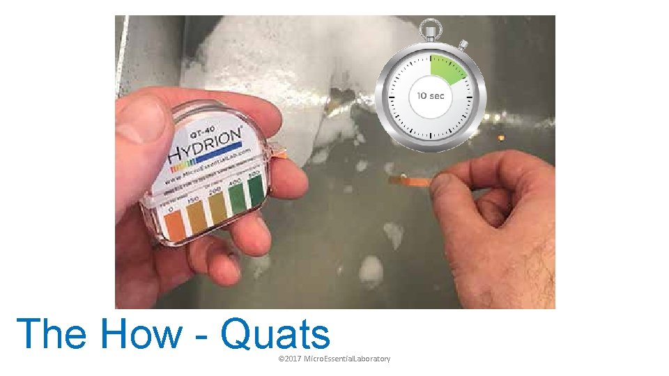 The How - Quats © 2017 Micro. Essential. Laboratory 