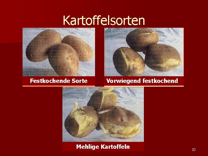 Kartoffelsorten Festkochende Sorte Vorwiegend festkochend Mehlige Kartoffeln 10 