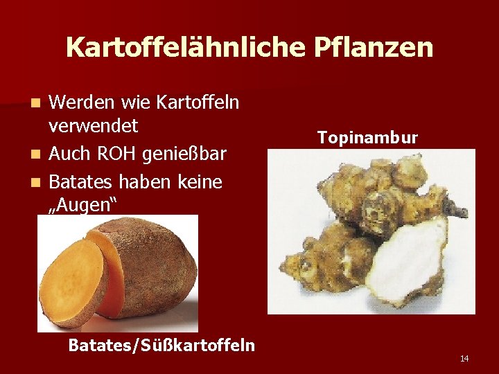 Kartoffelähnliche Pflanzen n Werden wie Kartoffeln verwendet Auch ROH genießbar Batates haben keine „Augen“