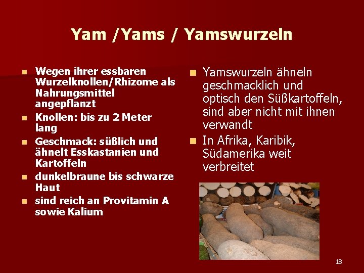 Yam /Yams / Yamswurzeln n n Wegen ihrer essbaren Wurzelknollen/Rhizome als Nahrungsmittel angepflanzt Knollen: