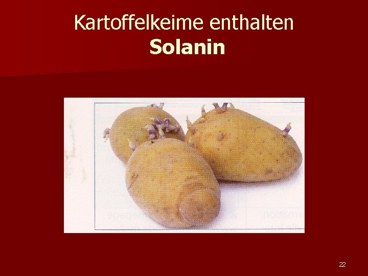 Kartoffelkeime enthalten Solanin 22 