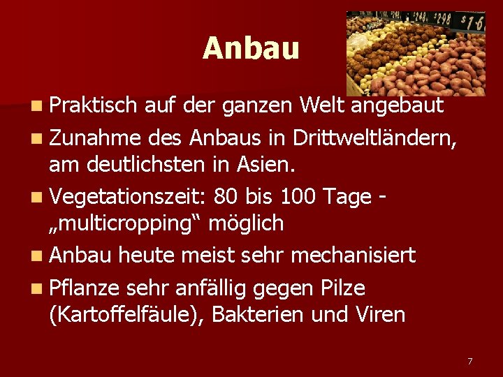 Anbau n Praktisch auf der ganzen Welt angebaut n Zunahme des Anbaus in Drittweltländern,