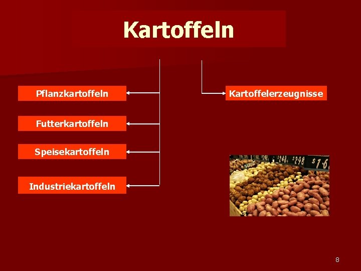 Kartoffeln Pflanzkartoffeln Kartoffelerzeugnisse Futterkartoffeln Speisekartoffeln Industriekartoffeln 8 