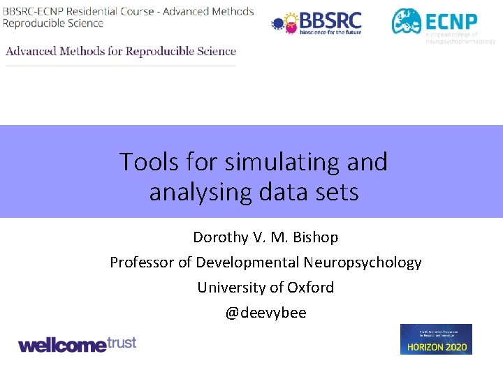 Tools for simulating and analysing data sets Dorothy V. M. Bishop Professor of Developmental