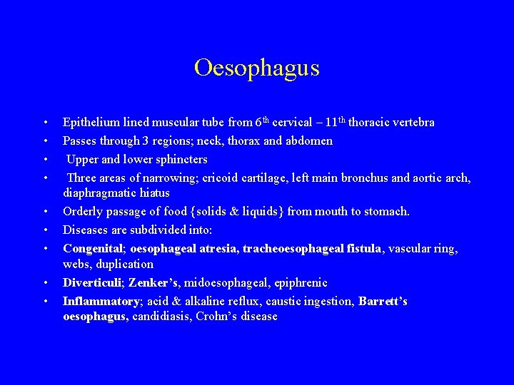 Oesophagus • • • Epithelium lined muscular tube from 6 th cervical – 11