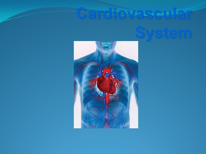 Cardiovascular System 