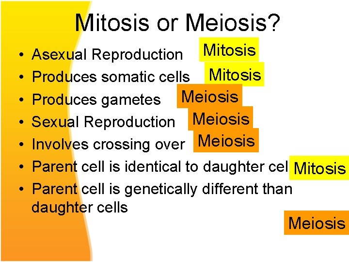 Mitosis or Meiosis? • • Asexual Reproduction Mitosis Produces somatic cells Mitosis Produces gametes
