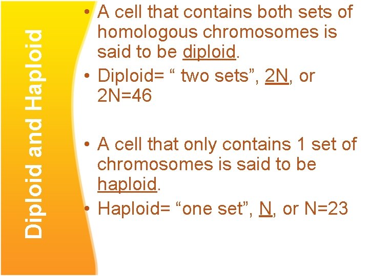 Diploid and Haploid • A cell that contains both sets of homologous chromosomes is