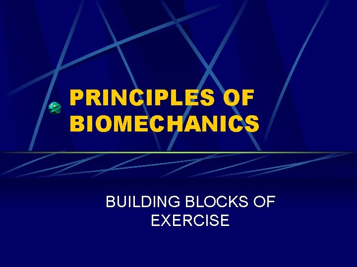 PRINCIPLES OF BIOMECHANICS BUILDING BLOCKS OF EXERCISE 