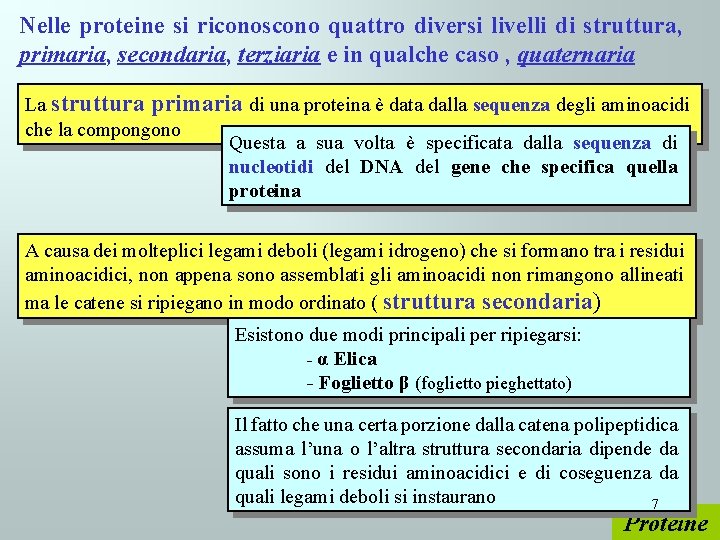 Nelle proteine si riconoscono quattro diversi livelli di struttura, primaria, secondaria, terziaria e in