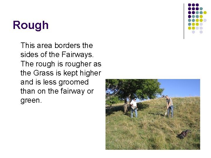 Rough This area borders the sides of the Fairways. The rough is rougher as