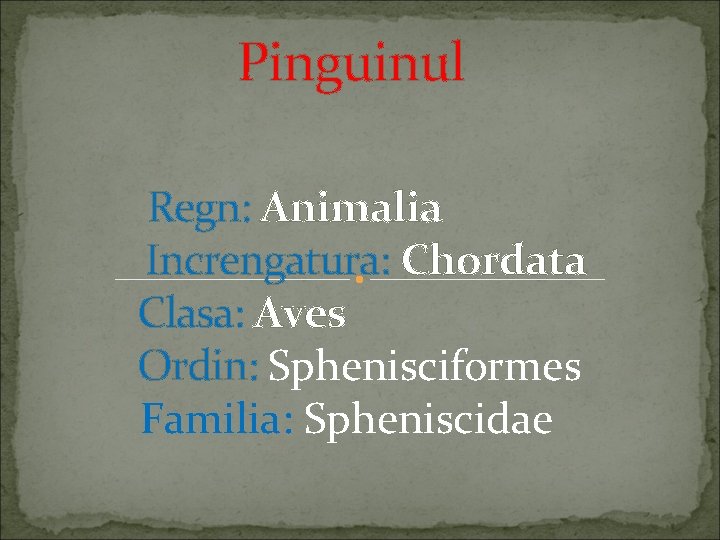 Pinguinul Regn: Animalia Increngatura: Chordata Clasa: Aves Ordin: Sphenisciformes Familia: Spheniscidae 