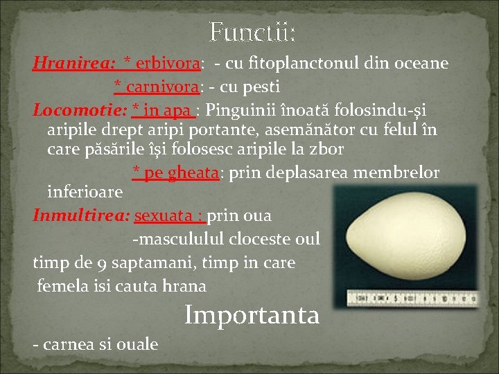 Functii: Hranirea: * erbivora: - cu fitoplanctonul din oceane * carnivora: - cu pesti