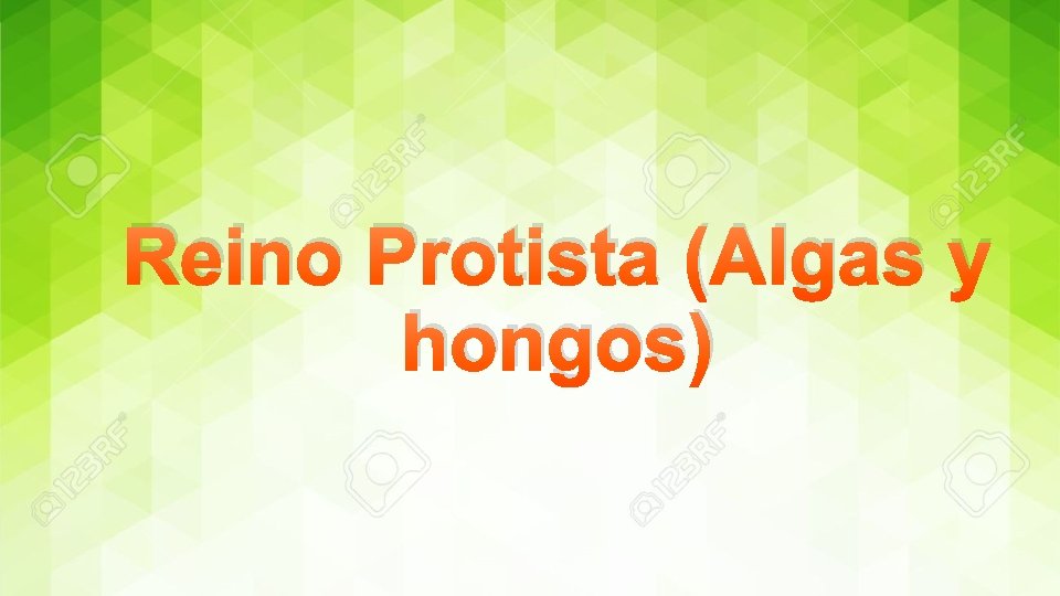 Reino Protista (Algas y hongos) 