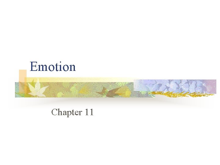 Emotion Chapter 11 