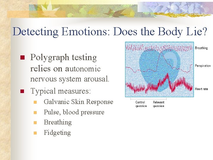 Detecting Emotions: Does the Body Lie? n n Polygraph testing relies on autonomic nervous