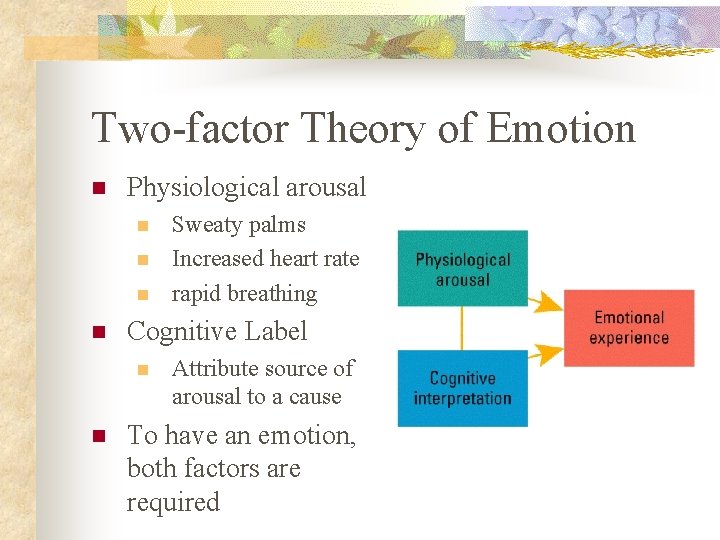 Two-factor Theory of Emotion n Physiological arousal n n Cognitive Label n n Sweaty
