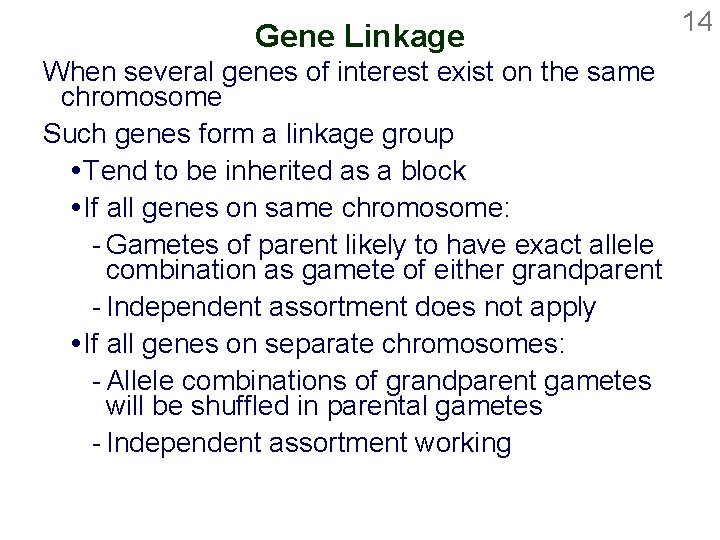 Gene Linkage When several genes of interest exist on the same chromosome Such genes