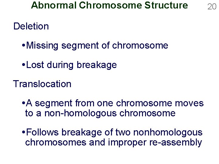 Abnormal Chromosome Structure Deletion Missing segment of chromosome Lost during breakage Translocation A segment