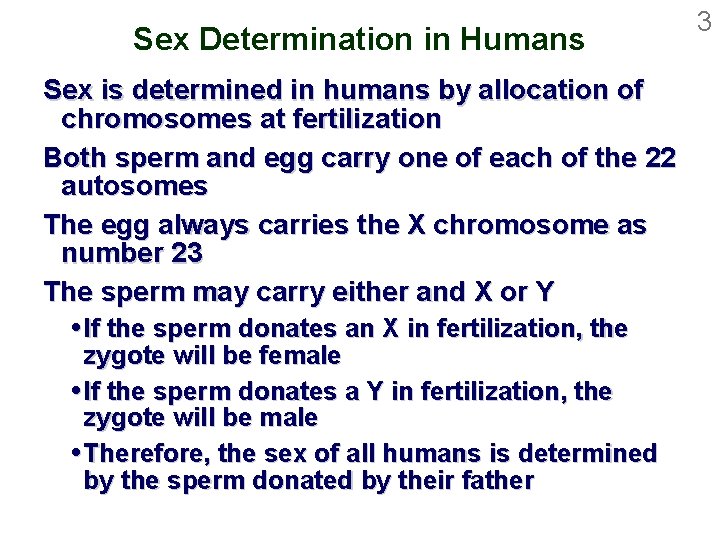 Sex Determination in Humans Sex is determined in humans by allocation of chromosomes at