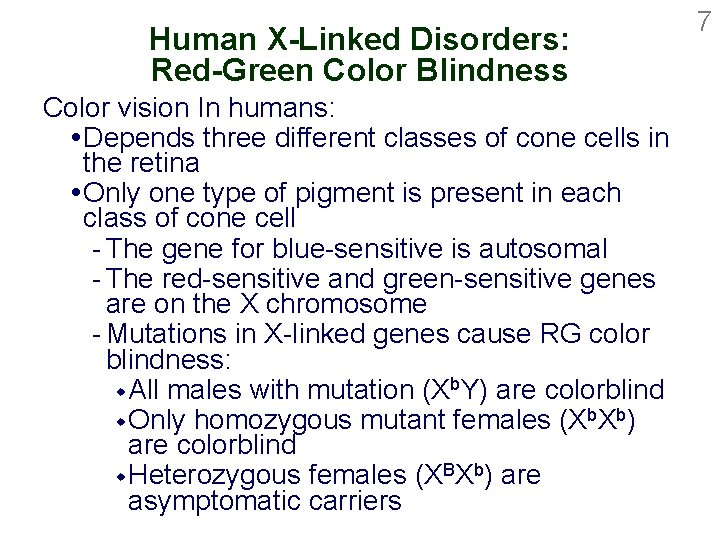 Human X-Linked Disorders: Red-Green Color Blindness Color vision In humans: Depends three different classes