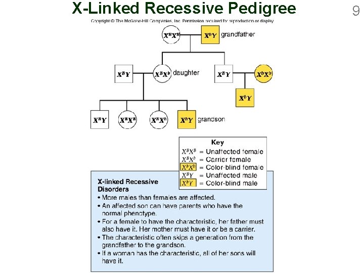 X-Linked Recessive Pedigree 9 