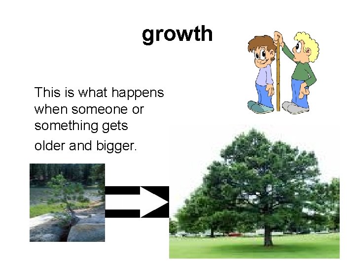 growth This is what happens when someone or something gets older and bigger. 